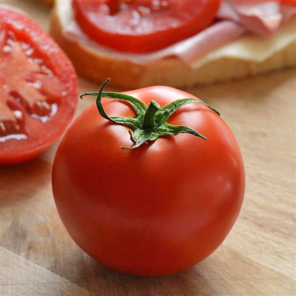 Tomato Stellar