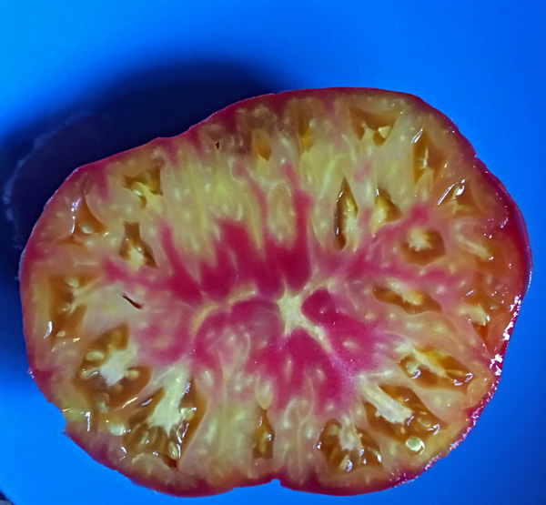 Virginia Sweets heirloom tomato Virginia Sweets heirloom tomato seeds