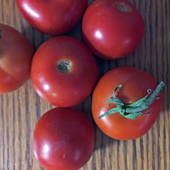 Heirloom Tomato