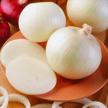 Onion