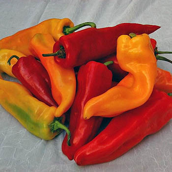 Sweet Pepper