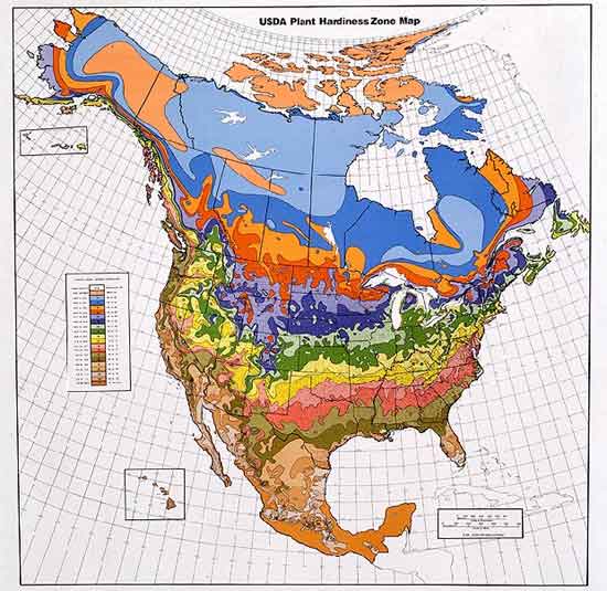Zone Map - USDA Hardiness Zones
