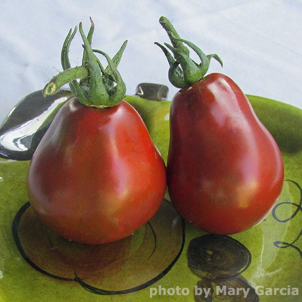 Tomato Japanese Black Trifele - heirloom tomatoes